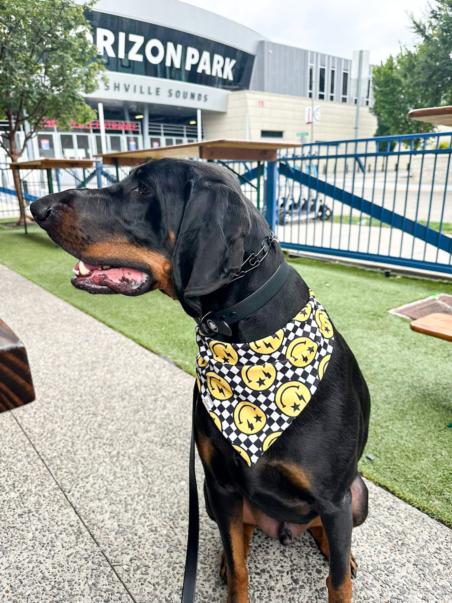 Smiley Checkered Wrinkle Resistant Bandana