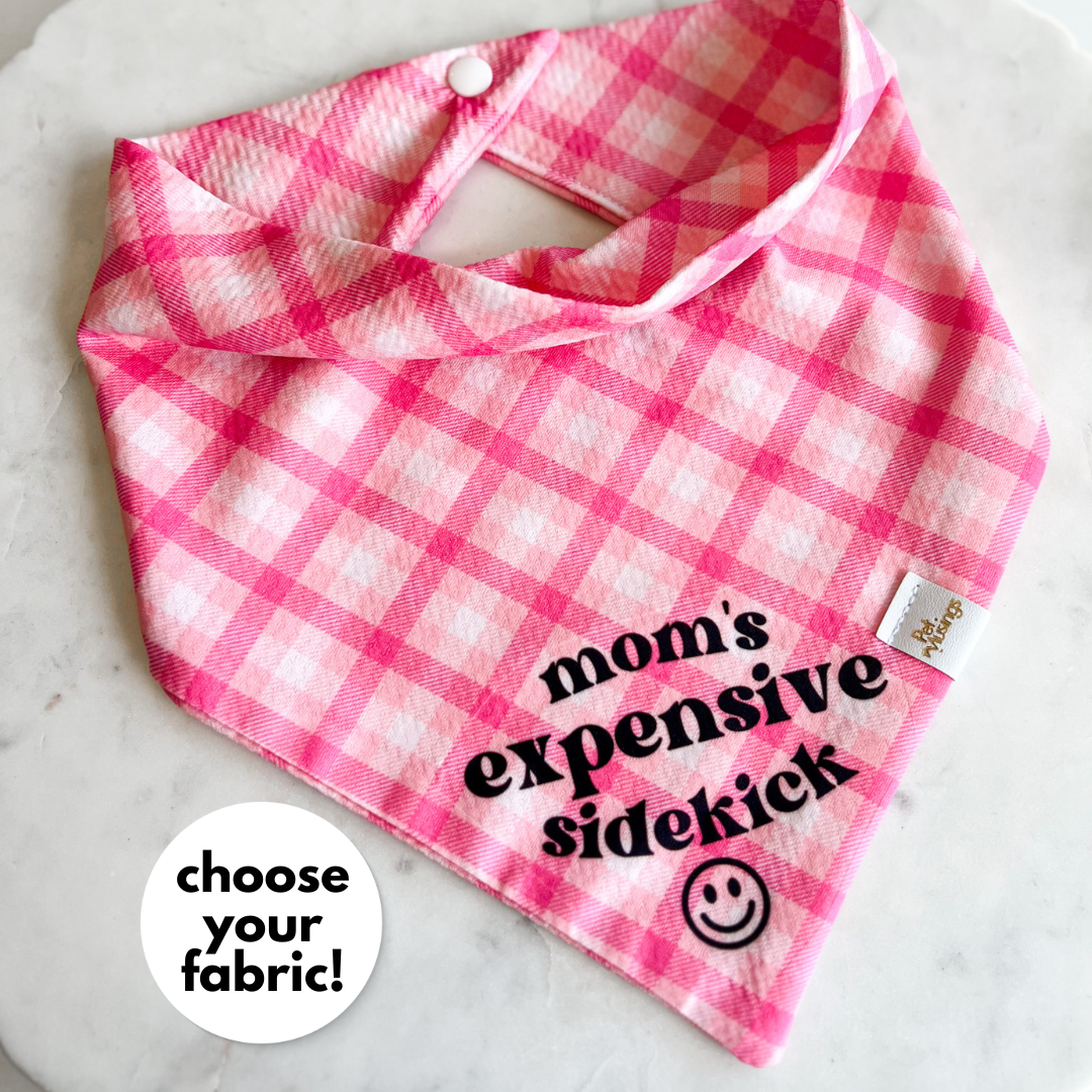 Mom's Expensive Sidekick Pink Wrinkle Resistant Bandana - Pet Musings