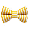 The Dolce and Cabana - Cat / Dog Bow Tie - Pet Musings