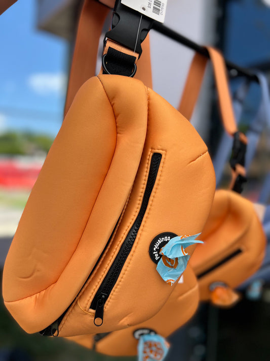 Dog Walking Bag