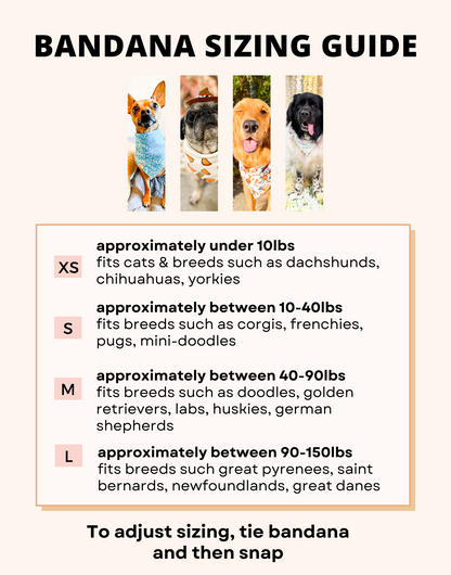 Mardi Gras Party Wrinkle Resistant Bandana