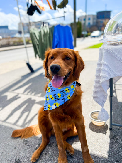 Here for the Chicks Wrinkle Resistant Bandana - Pet Musings