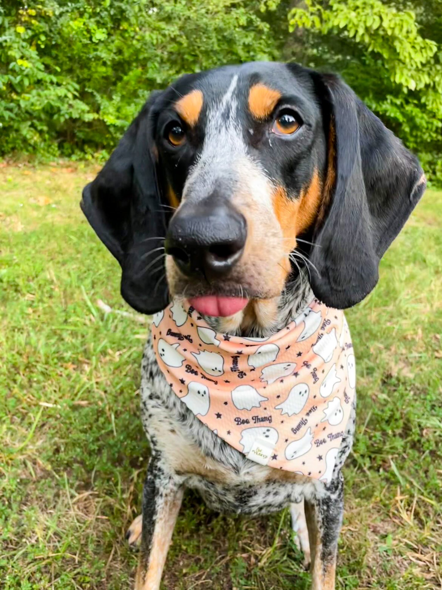 Boo Thang Wrinkle Resistant Bandana