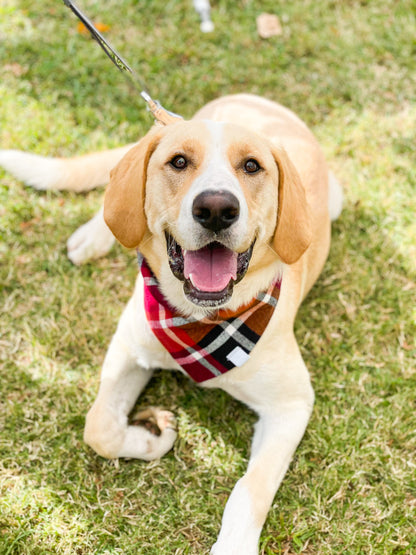 Apple Orchard Plaid Flannel Bandana