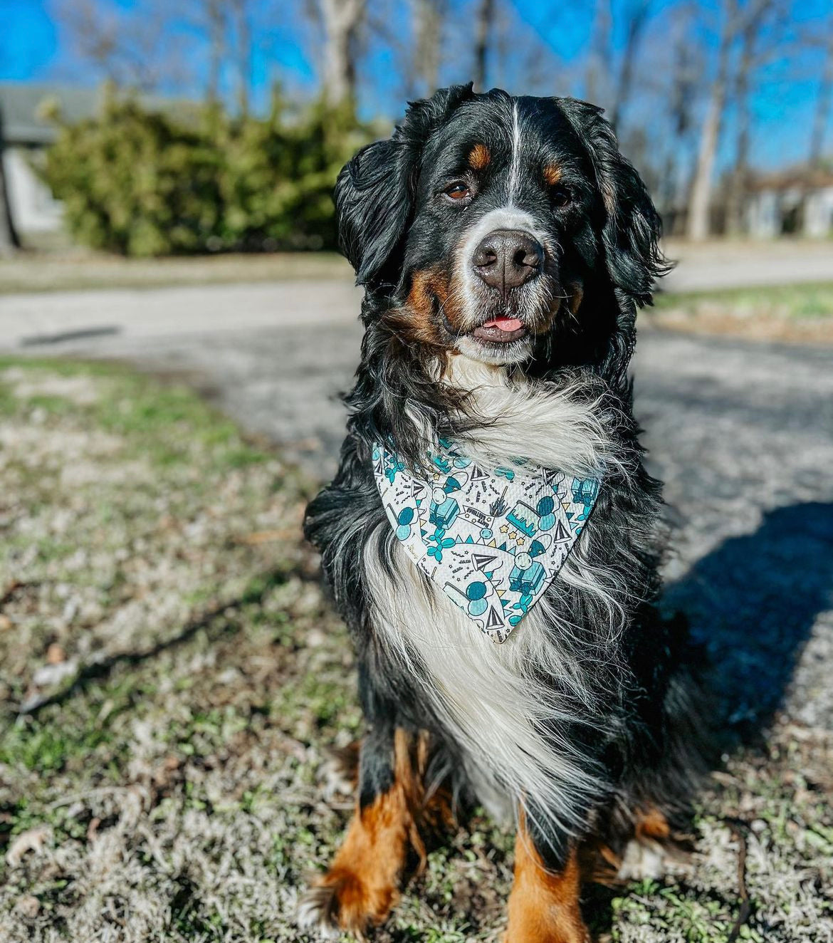 Happy Birthday Wrinkle Resistant Bandana