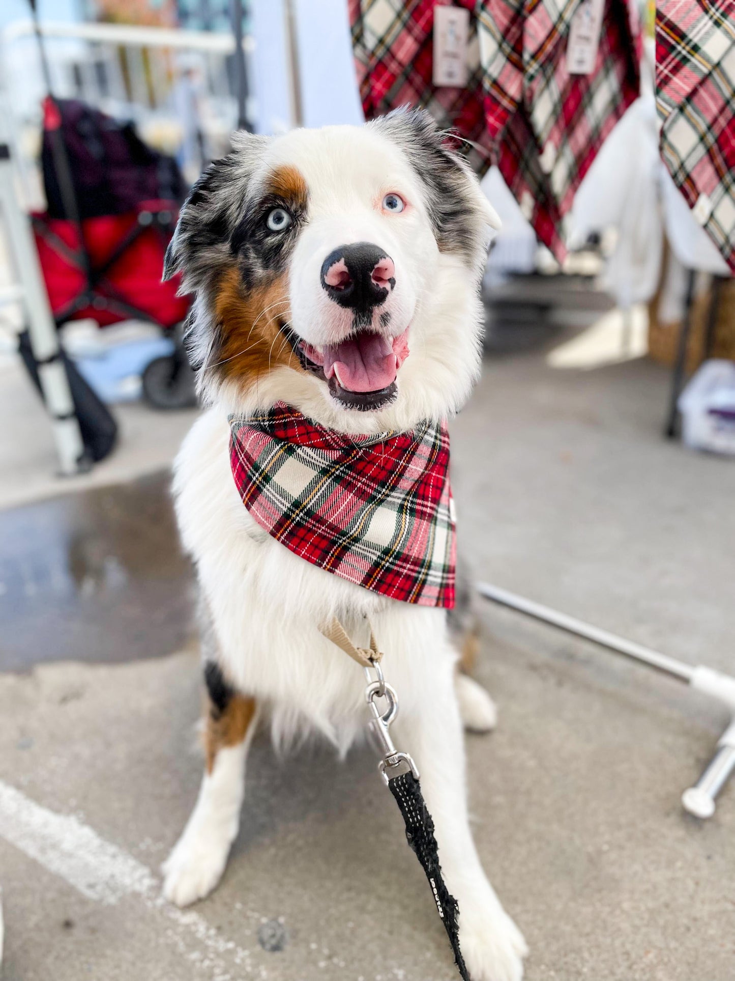 Holiday Tartan Plaid Flannel Bandana