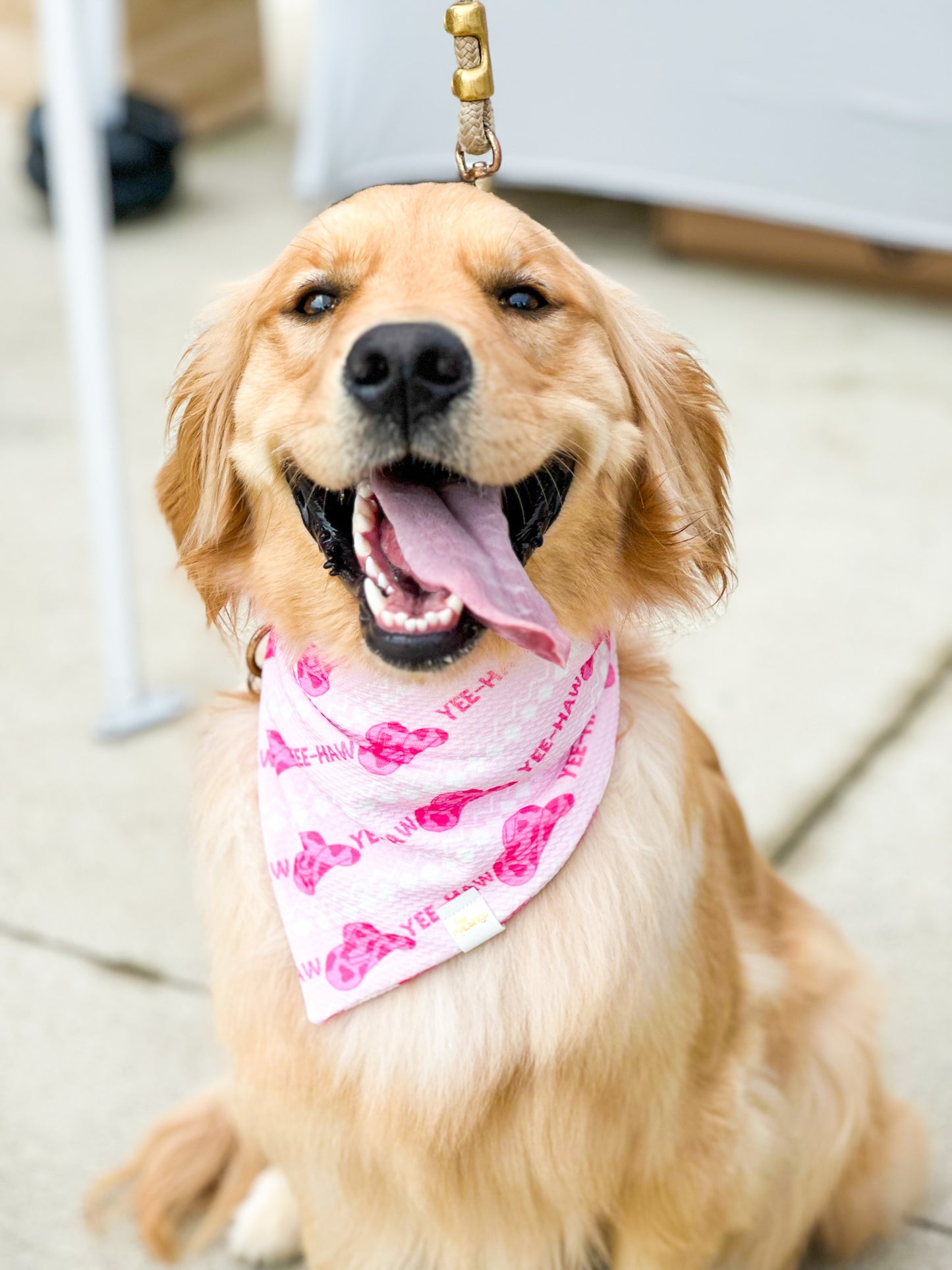 Yee-Haw Wrinkle Resistant Bandana