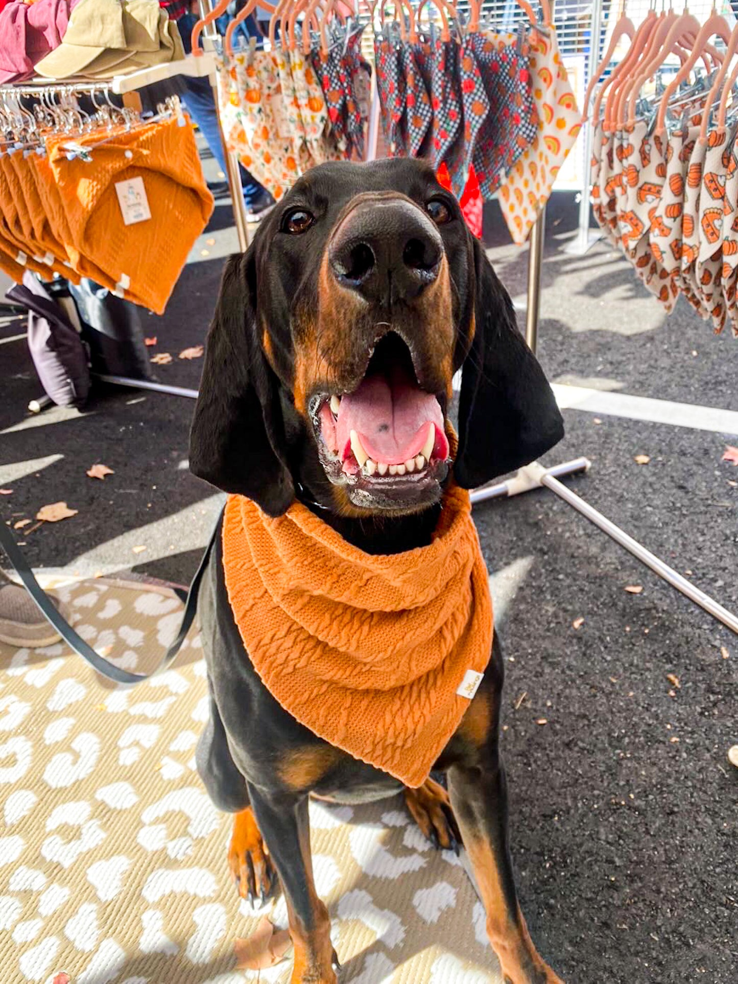 Burnt Orange Cable Knit Sweater Bandana