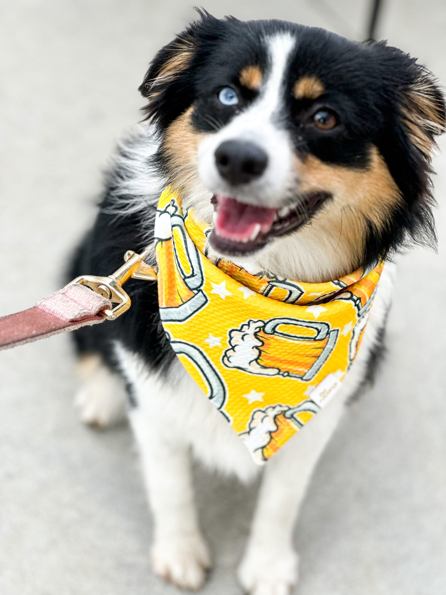 Beer Wrinkle Resistant Bandana