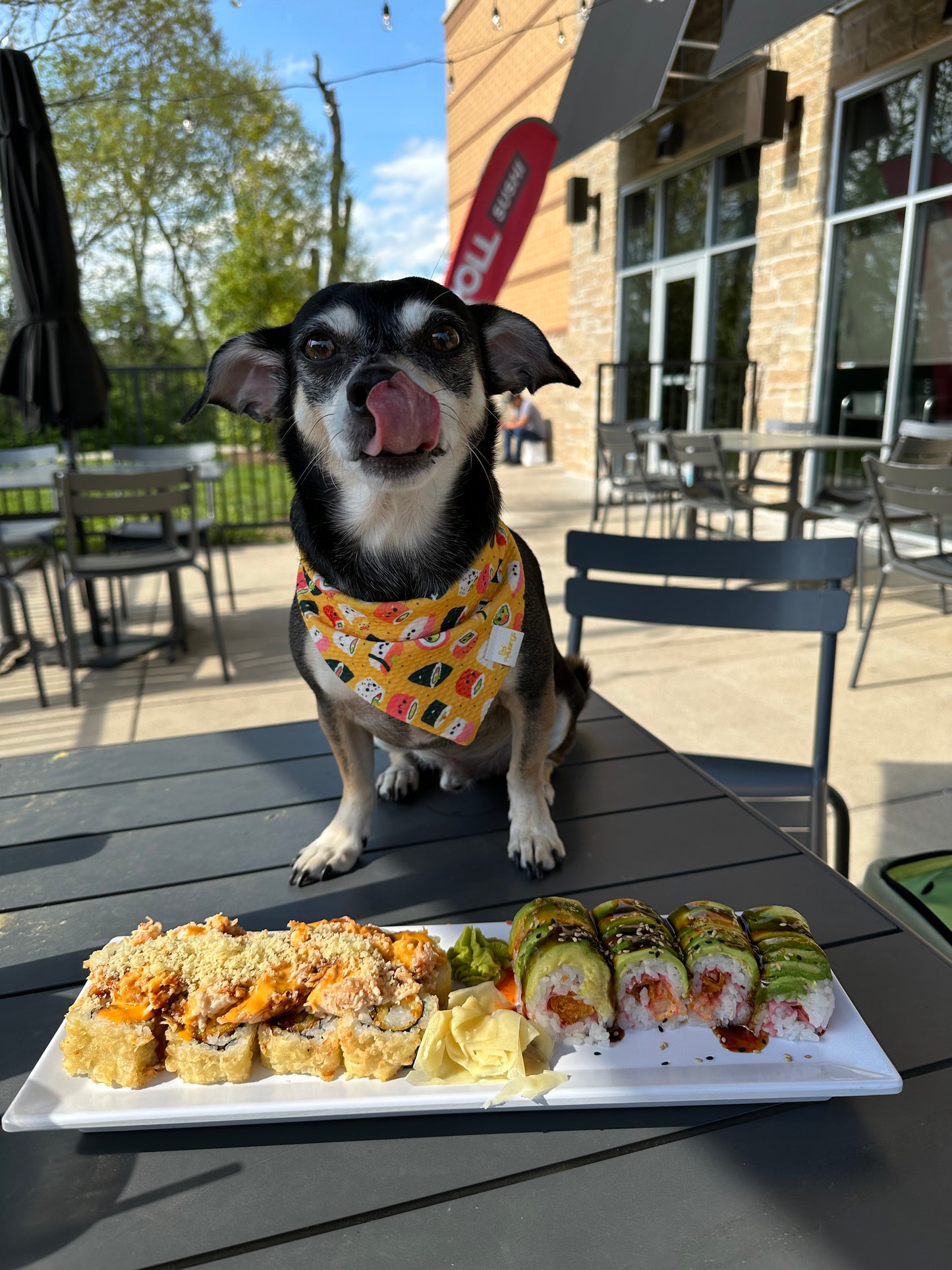 Sushi Wrinkle Resistant Bandana