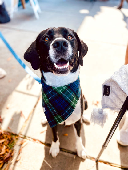 Blue and Green Plaid Flannel Bandana