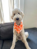 Stay Spooky Wrinkle Resistant Bandana