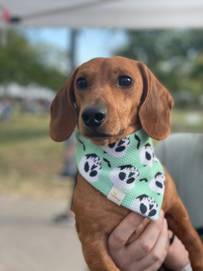 Skull Halloween Wrinkle Resistant Bandana