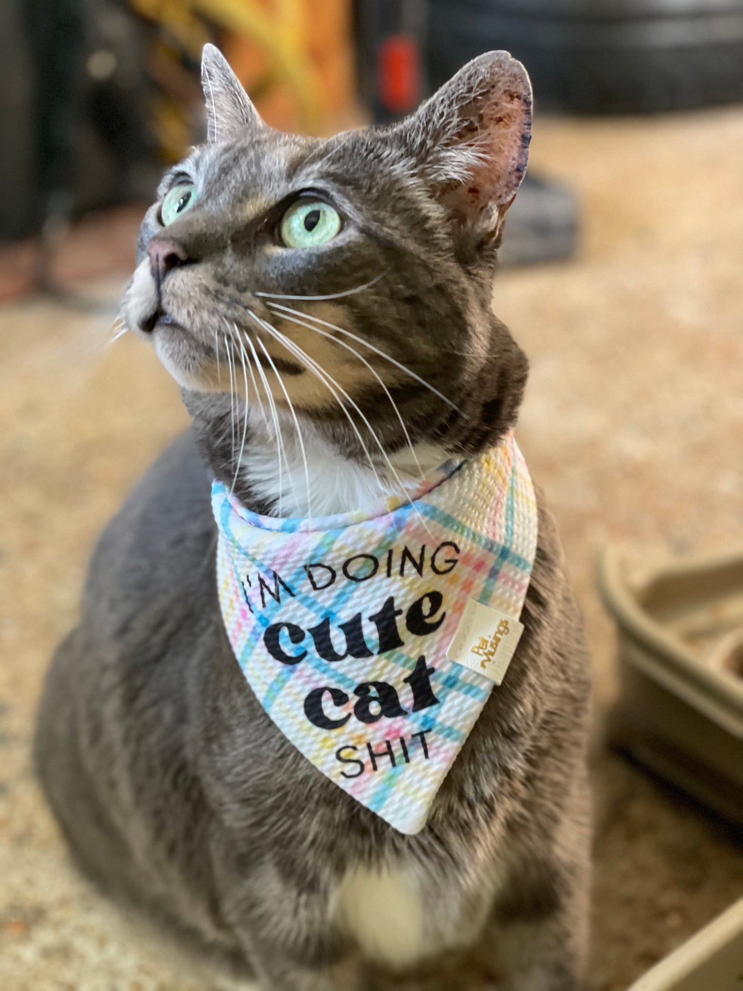 Doing Cute Cat Shit Wrinkle Resistant Bandana