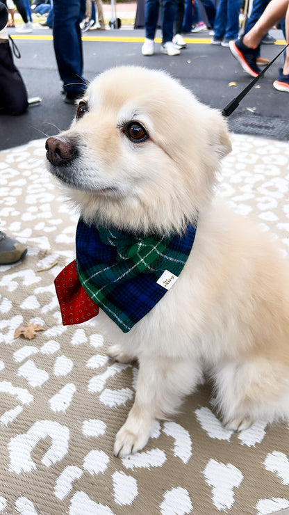 Blue and Green Plaid Flannel Bandana